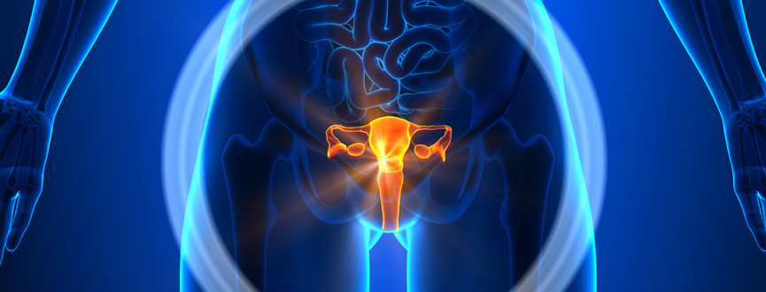 Gynecological Oncology Welcome Image